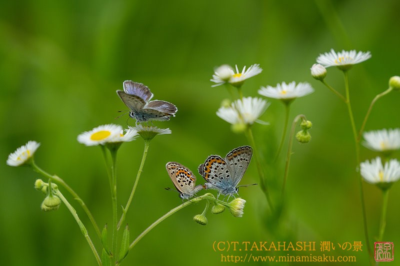 ../Images/7R250705 (20).jpg